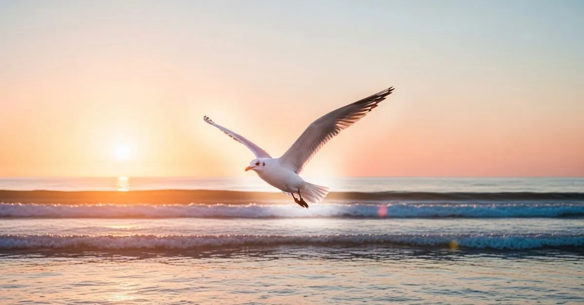 seagull dream meaning