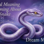 Purple Snake Dream Meaning